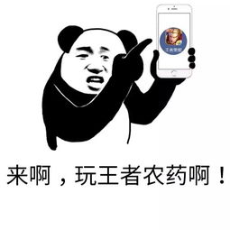 上班时间老板陪着打农药,这样的好事哪里去找
