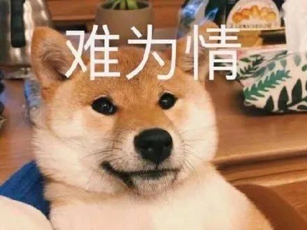 今日份表情包我爱你我超乖