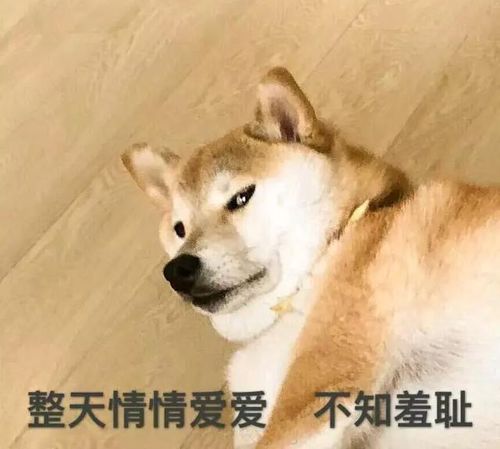 搞笑今天快递小哥打电话来的时候,因为在蹲厕的缘故,就没有接听