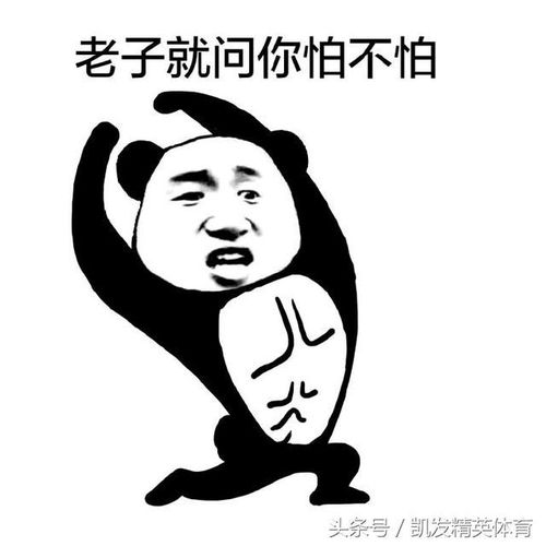 黎明前的最后厮杀,谁也别怂