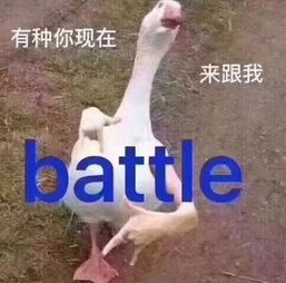 多篇原创歌曲涉抄袭,歌手拒不回应,道歉就真的那么难