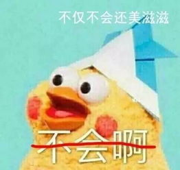 没想到你是这样的张一山王俊凯刘昊然,这伙少年团综艺我可以看一年