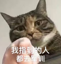 军训第一天当青春遇上迷彩,当二工大遇上你们