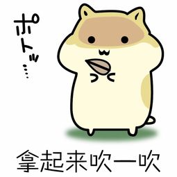 谁有lol版仓鼠掉瓜子表情包