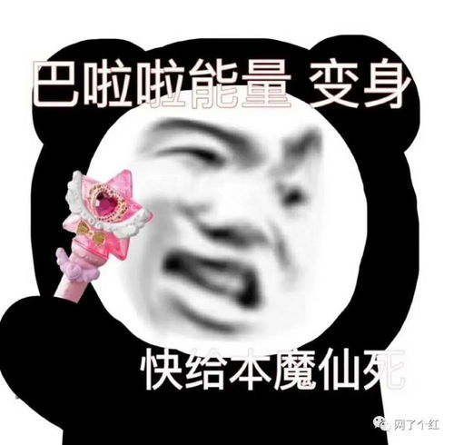 我不缺女朋友,缺爱情淦我看你缺个脑子