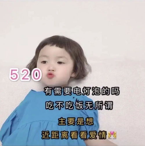 520表情包