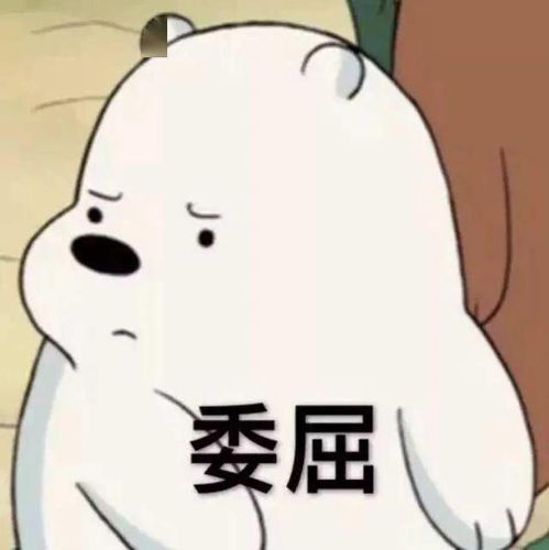 蜘蛛毒蛇出没高峰期宜宾人有人被咬,这些事都要注意下..