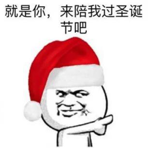 想过圣诞节的理由有很多,ta是其中一个
