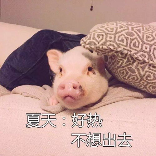我不想出门的原因..