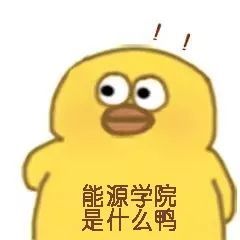 国科大能源学院,c位出道