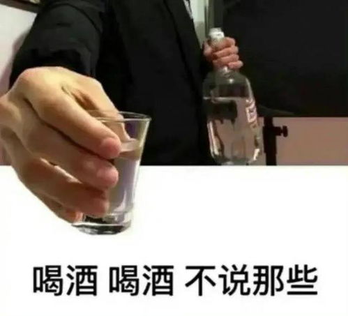 喝酒小趴菜表情包gif