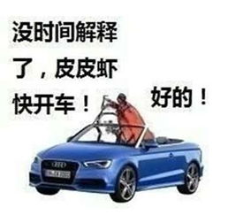 pdd皮皮虾我们走表情pdd皮皮虾表情包qq微信