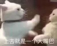 曝光闺蜜聊天记录居然背着我,偷偷和别的男生在背后这样说我...