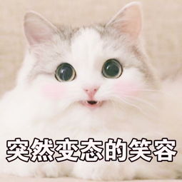 球球大作战璐璐额呐的美拍