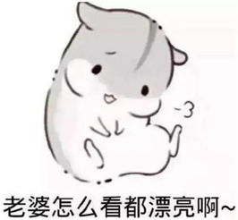 婚后男子图鉴出来了,隔着屏幕都能感受到强烈的求生欲