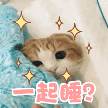 睡前最后一件事,防心梗防中风都靠它,做好能救命