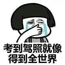 假期丨暑假学车,我怕你会变成表情包啊