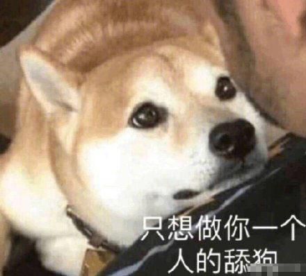 迷你表情包微信狗男人