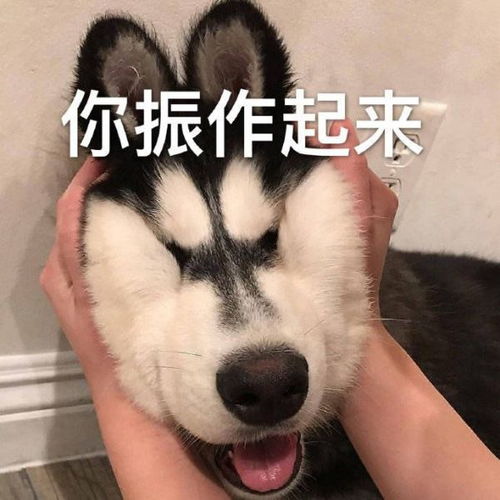 减压必备,这6个app专治不开心