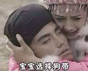 在斗图这件事上,文科生还是打不过理科生呀
