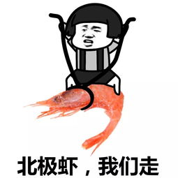 恕我直言你们可能对皮皮虾一无所知