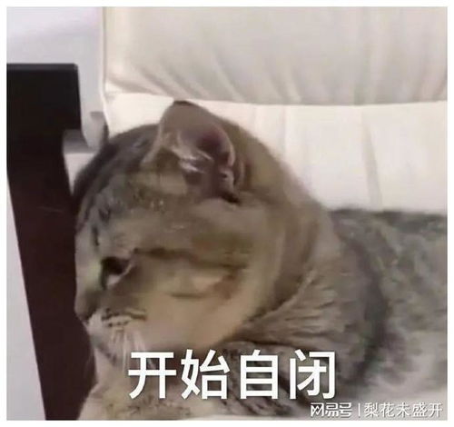 老公花5000给我买了件正经卫衣,这钱花得值啊哈哈哈哈哈