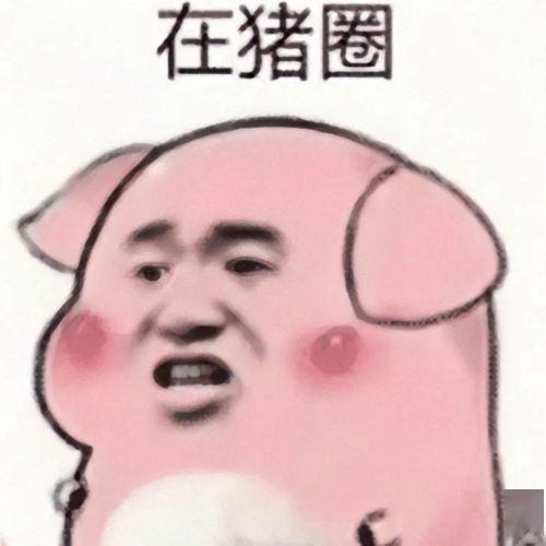 近期潮图热门表情包