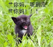 社会我喵哥app下载社会我喵哥凶狠斗图表情包app软件下载v1.0嗨客安卓软件站