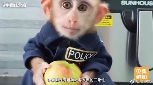表情包不断进化,还跟新茶饮出周边,吗喽经济为啥带不动