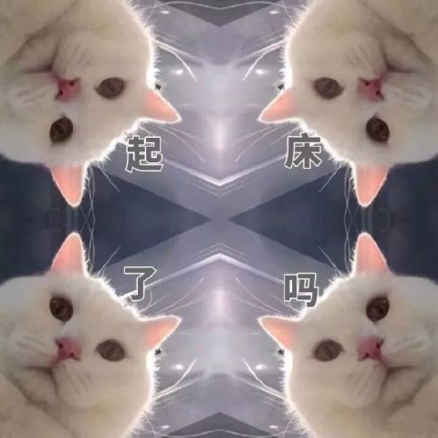 叫女朋友起床的表情包赖床