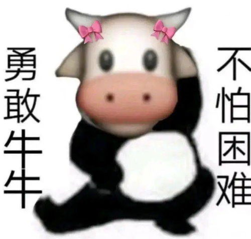 非985211学生,进华为当翻译是一种什么样的体验