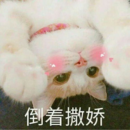 海上花园遇见泉城济南,闽南古意邂逅好客山东