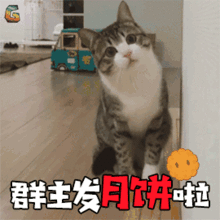 要月饼表情包动图合集给个月饼吧,不然一个红包也行