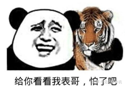 单片机怎么学有必要参加单片机培训班吗