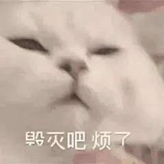 可爱动物表情包