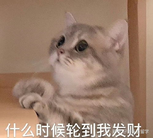 高中生去日本留学必须等到毕业嘛该做哪些准备呢