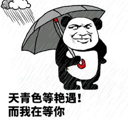 搜狐公众平台装逼王我当定了斗图表情包,装逼斗图专用的表情包