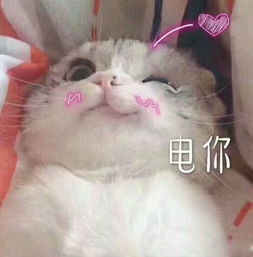 终于有空更新的手账