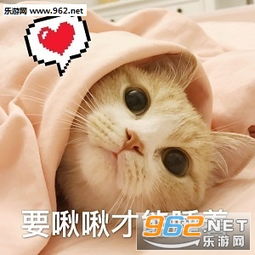 本宫乏了图片表情包单身好单身好单身想跟谁好跟谁好表情包下载乐游网游戏下载
