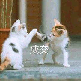 神回复年底了,给亲爸爸冲一波业绩吧