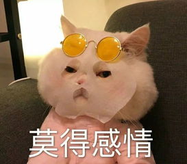 有点怕陈意涵上综艺,言语骚扰男艺人的事历历在目