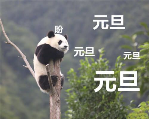 2020年假期全部结束表情包下载