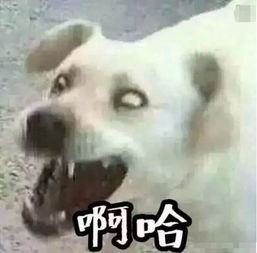 男主拿错反派剧本被这神经病笑到头掉