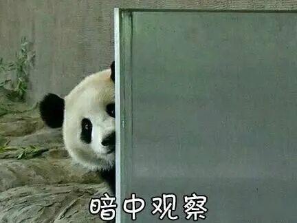 人生第一次,被关晓彤美到了太仙了吧