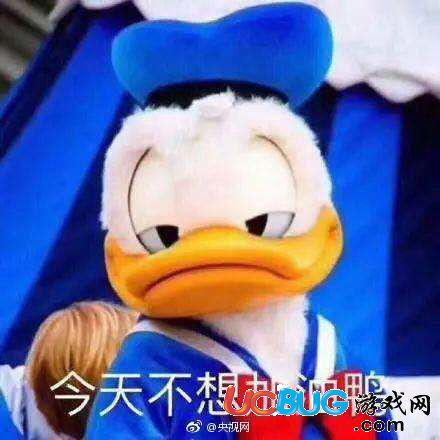 网上冲鸭高清无字表情包大全