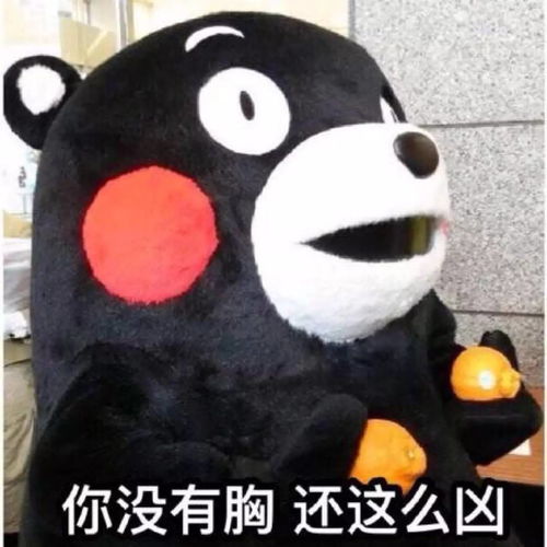 熊本熊动态专用斗图表情包