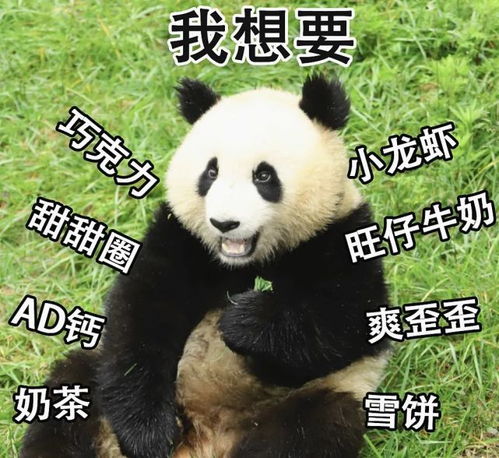 超萌儿童节专属熊猫表情包,速来拿图