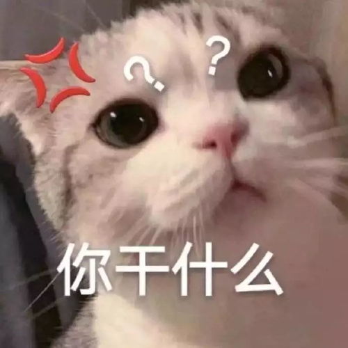 表情包笑脸