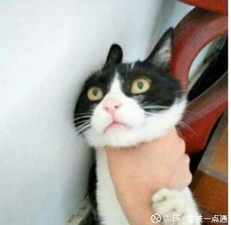 股价太低了,股权激励终止吧好