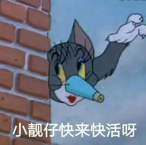 猫和老鼠套图头像壁纸表情包背景图